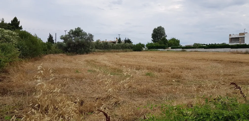οικόπεδο προς πώληση 4800 τ.μ Κασσάνδρα Χαλκιδική