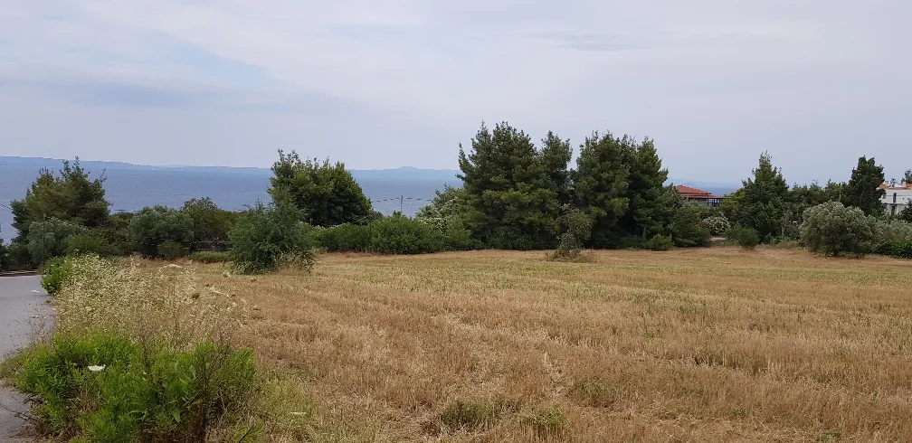 οικόπεδο προς πώληση 9500 τ.μ Κασσάνδρα Χαλκιδική