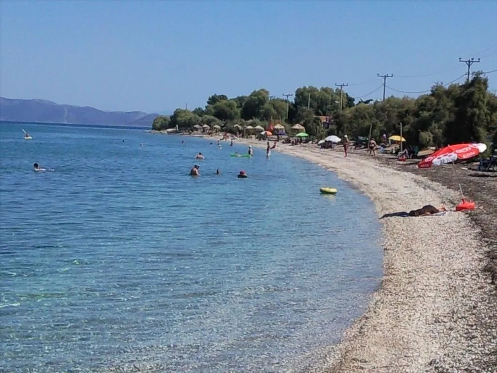 οικόπεδο προς πώληση 2472 τ.μ Μαραθώνας Ανατολικά Αθήνας