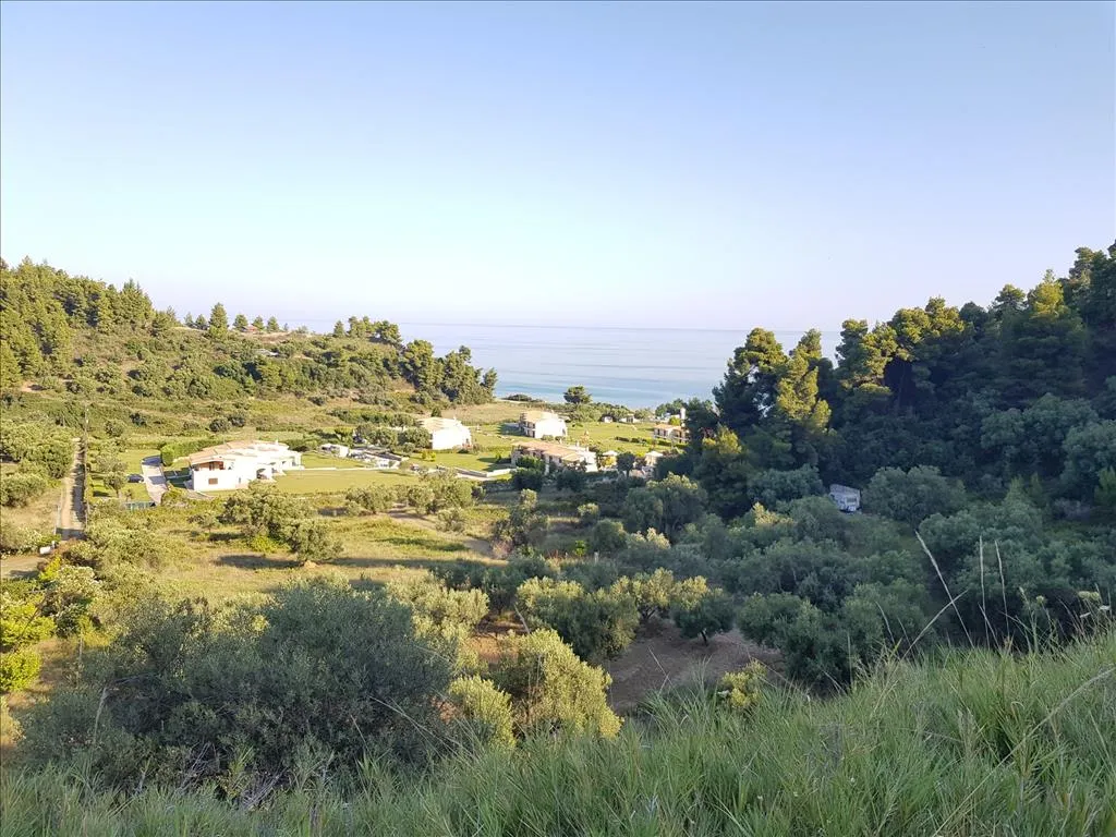 οικόπεδο προς πώληση 4300 τ.μ Κασσάνδρα Χαλκιδική