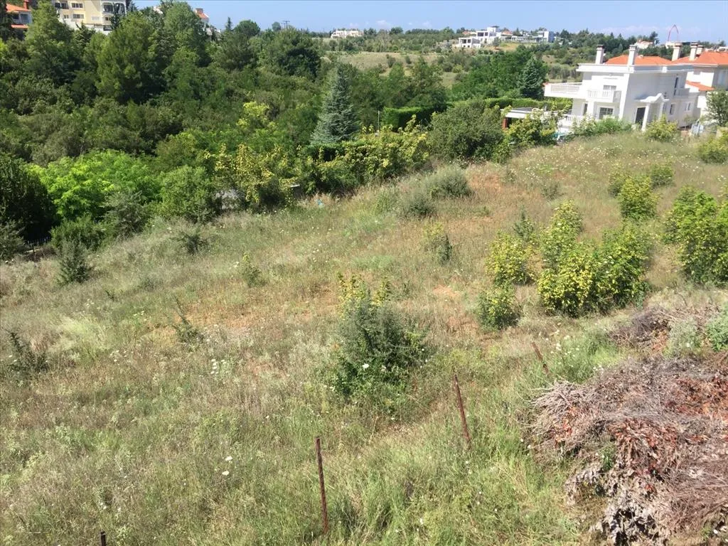 οικόπεδο προς πώληση 2500 τ.μ Πανόραμα Προάστια Θεσσαλονίκης