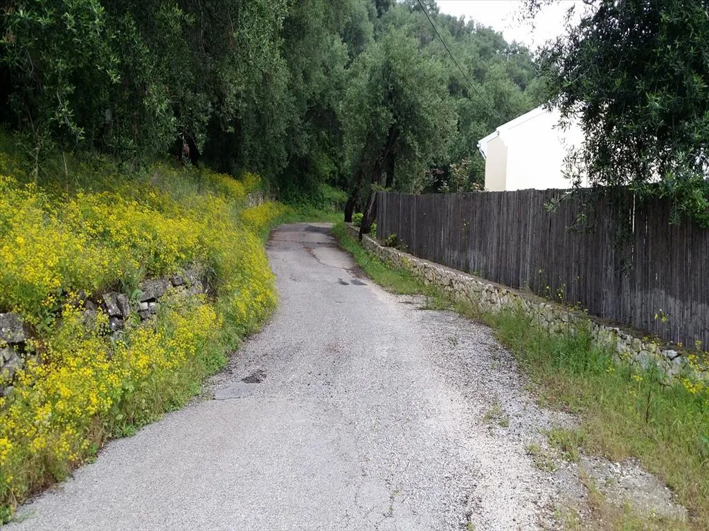 οικόπεδο προς πώληση 3800 τ.μ Κέρκυρα Νομός Κέρκυρας