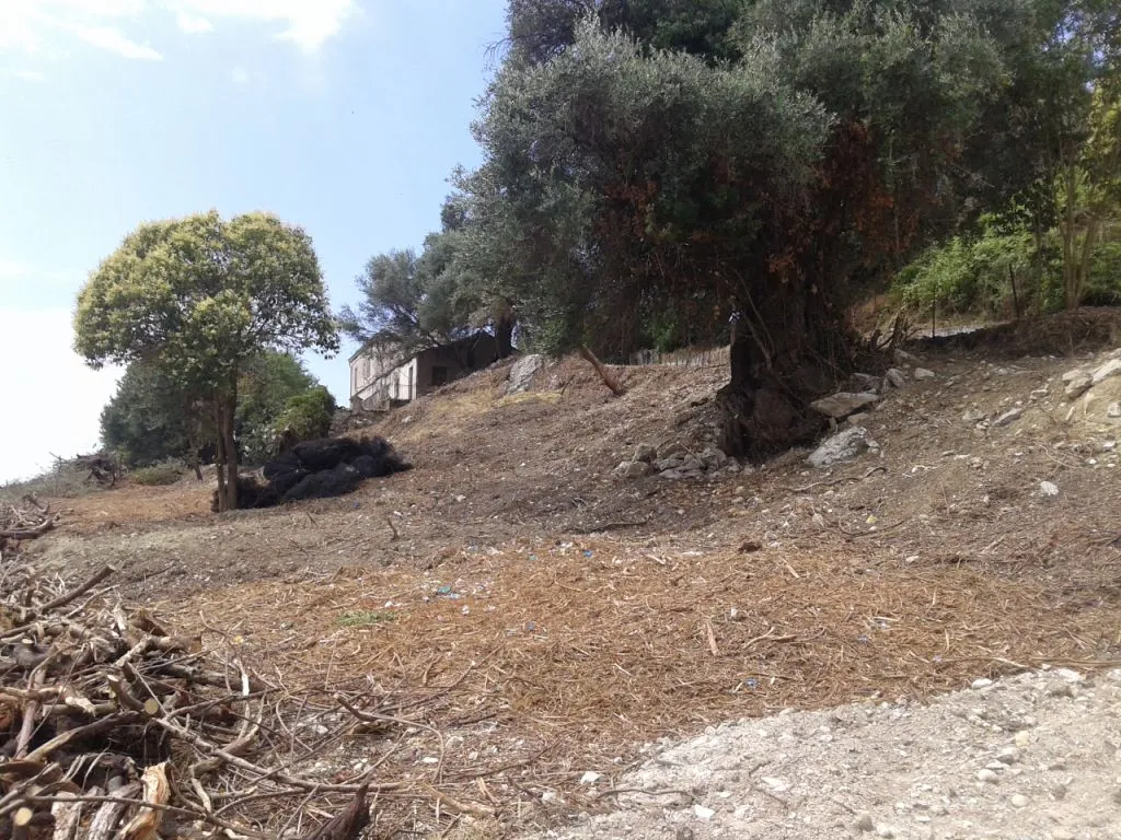 οικόπεδο προς πώληση 2250 τ.μ Κέρκυρα Νομός Κέρκυρας
