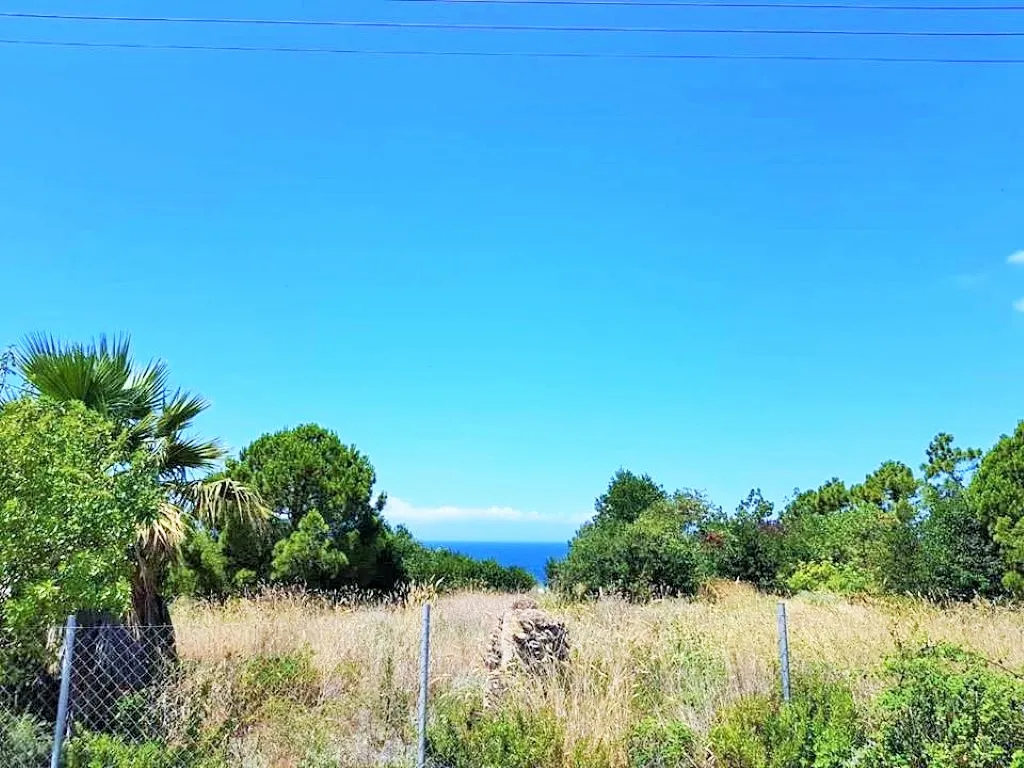 οικόπεδο προς πώληση 2000 τ.μ Κασσάνδρα Χαλκιδική