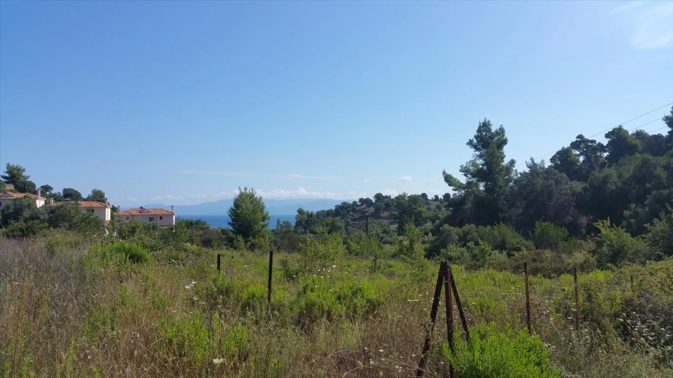 οικόπεδο προς πώληση 9000 τ.μ Κασσάνδρα Χαλκιδική