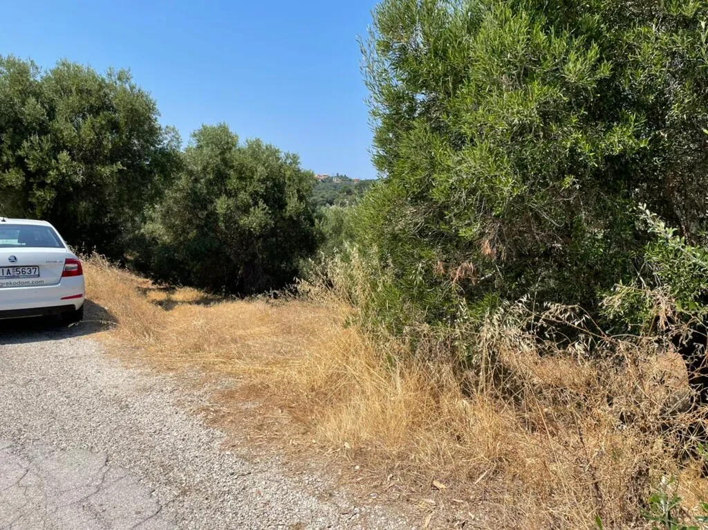 οικόπεδο προς πώληση 5200 τ.μ Κέρκυρα Νομός Κέρκυρας
