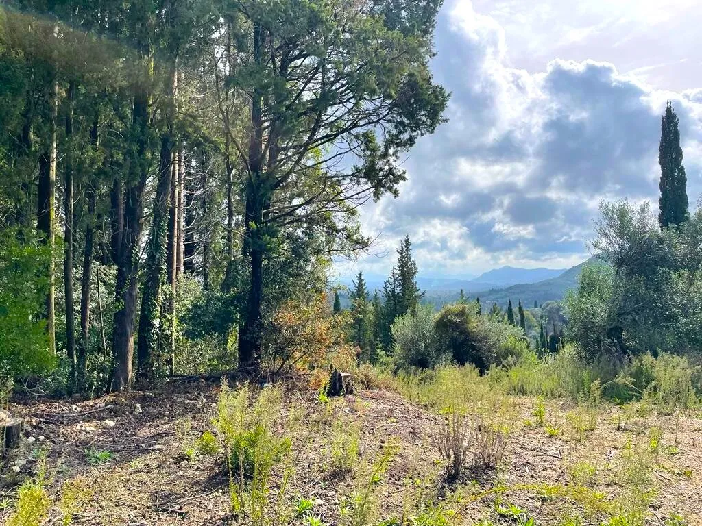 οικόπεδο προς πώληση 12000 τ.μ Κέρκυρα Νομός Κέρκυρας