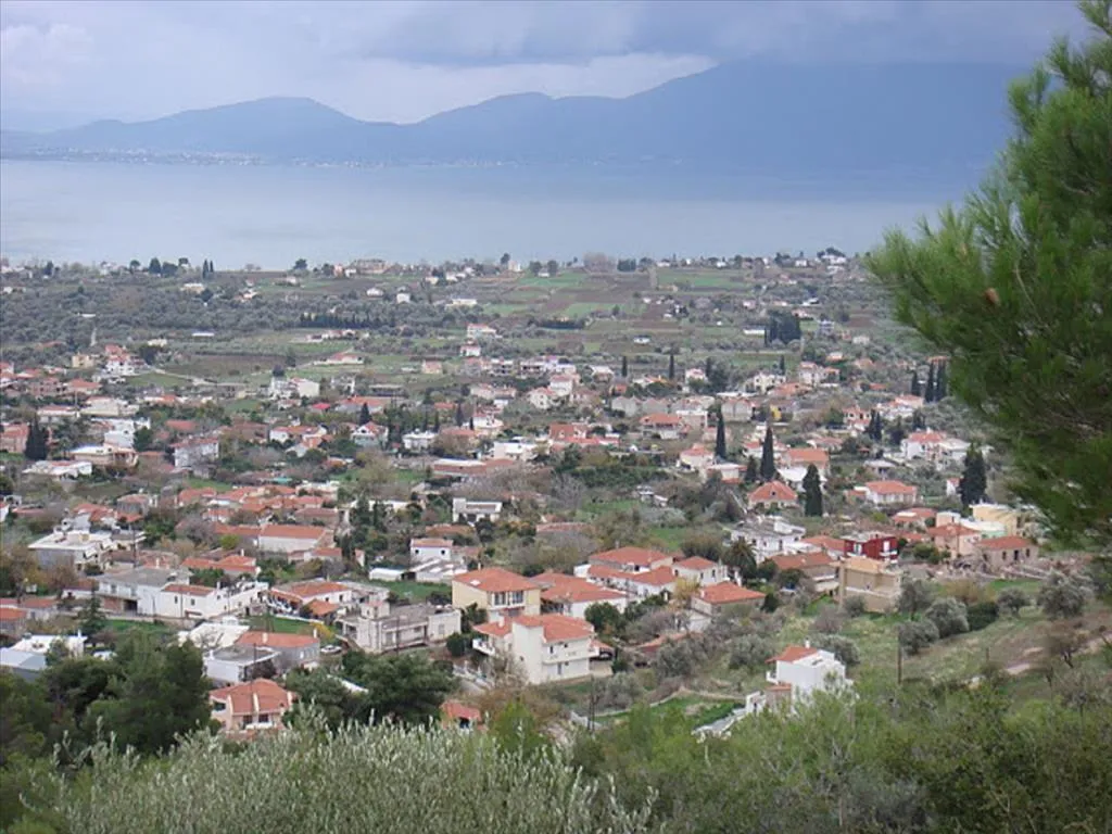 οικόπεδο προς πώληση 2100 τ.μ  Εύβοια