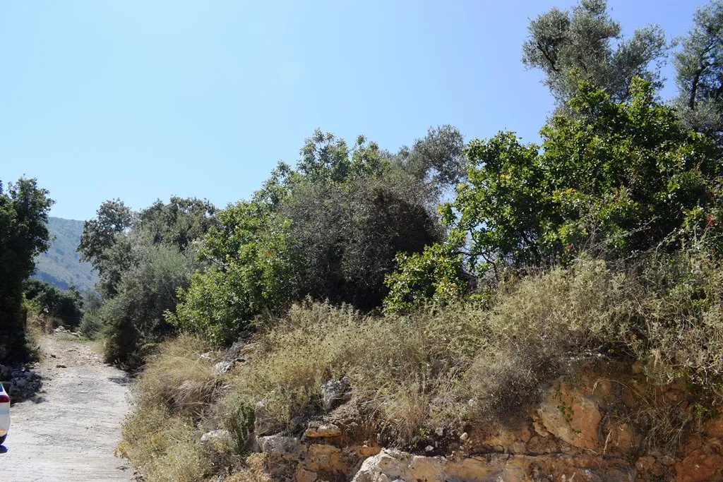 οικόπεδο προς πώληση 11000 τ.μ Ρέθυμνο Νομός Ρεθύμνου