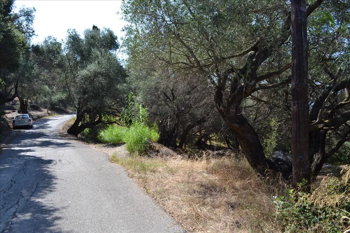 οικόπεδο προς πώληση 9150 τ.μ Κέρκυρα Νομός Κέρκυρας