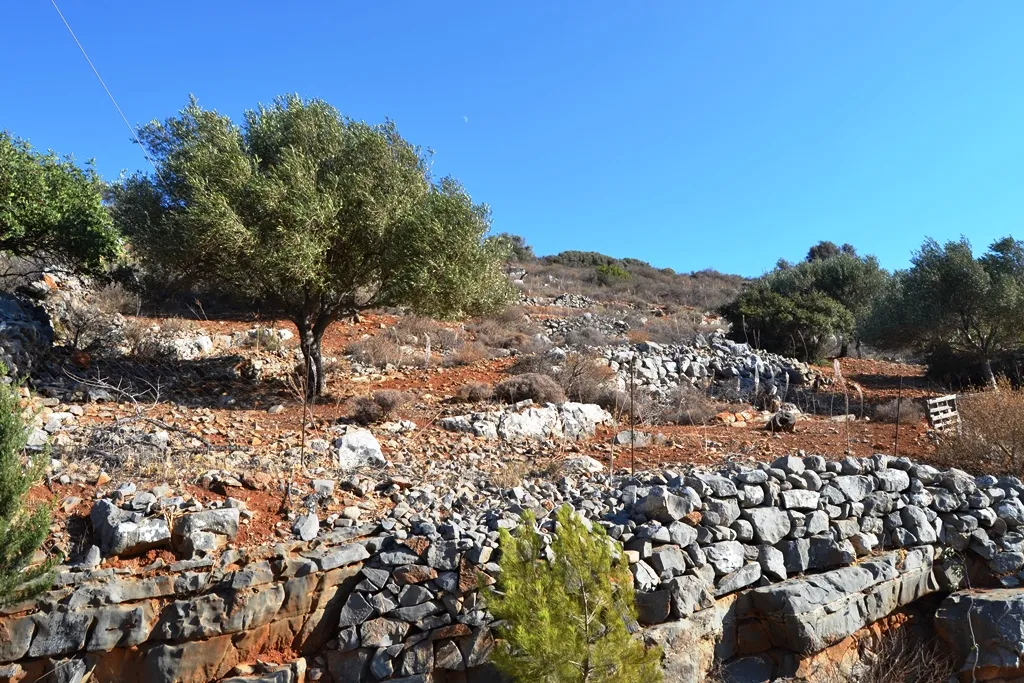 οικόπεδο προς πώληση 4670 τ.μ Άγιος Νικόλαος Νομός Λασιθίου