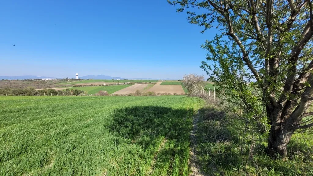 οικόπεδο προς πώληση 7311 τ.μ Μίκρα Προάστια Θεσσαλονίκης
