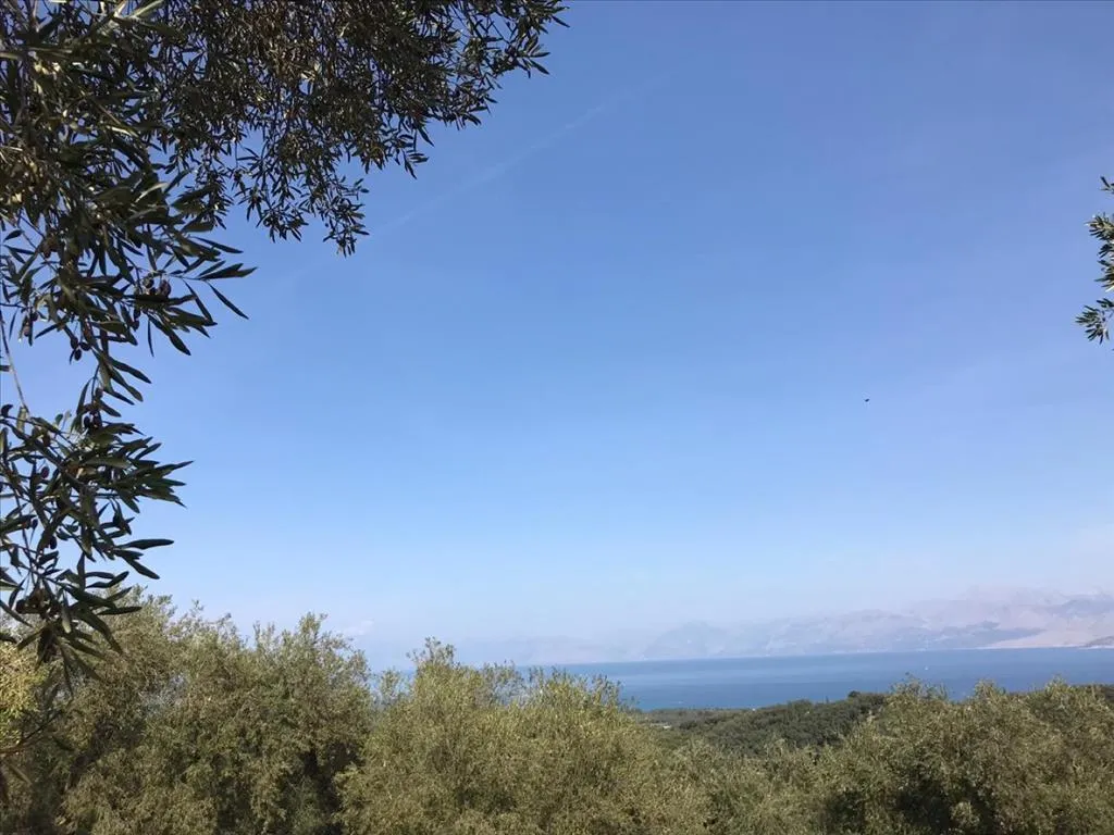οικόπεδο προς πώληση 6000 τ.μ Κέρκυρα Νομός Κέρκυρας
