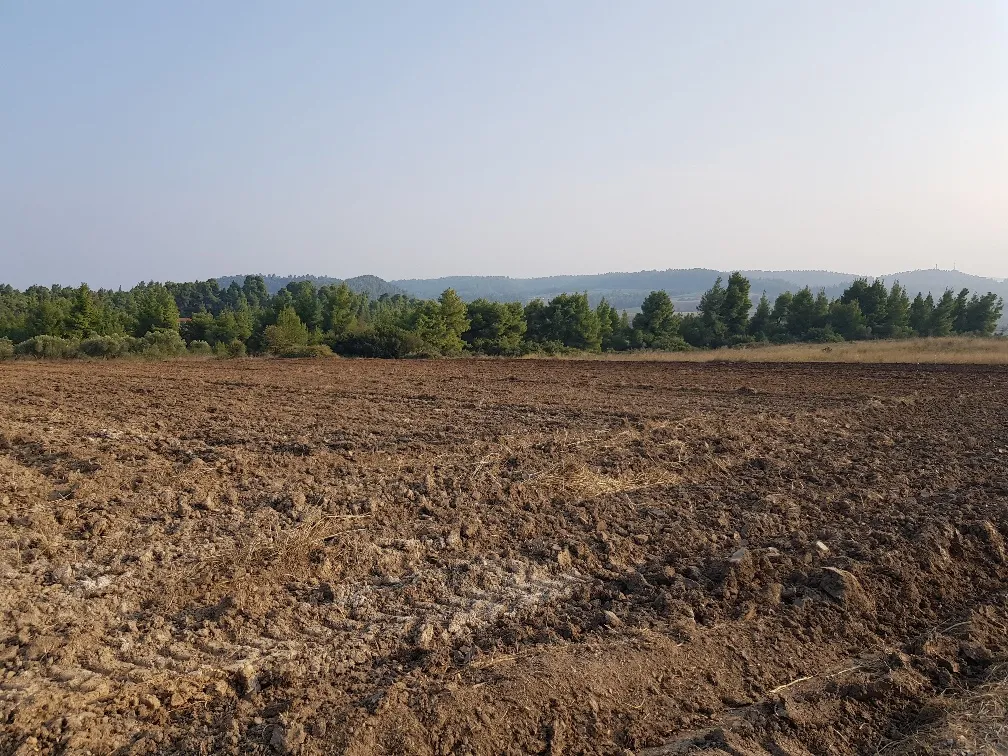 οικόπεδο προς πώληση 11005 τ.μ Κασσάνδρα Χαλκιδική
