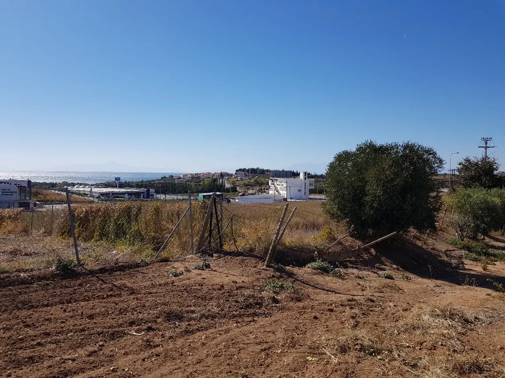 οικόπεδο προς πώληση 5500 τ.μ Νέα Προποντίδα Χαλκιδική