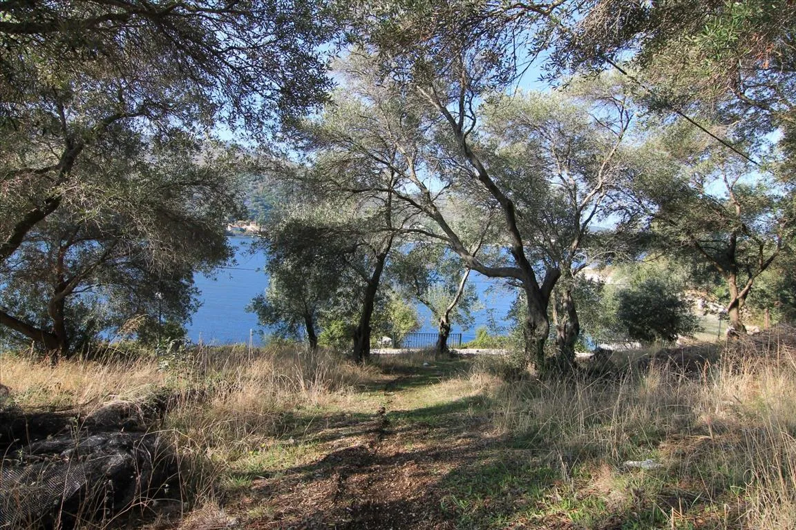 οικόπεδο προς πώληση 4300 τ.μ Κέρκυρα Νομός Κέρκυρας