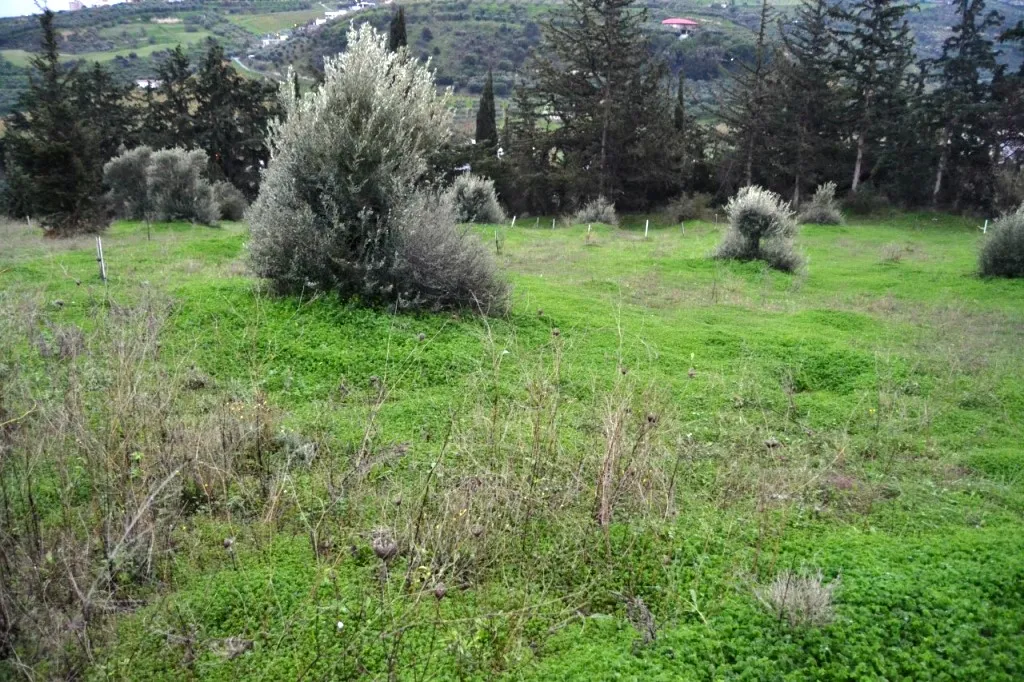 οικόπεδο προς πώληση 4100 τ.μ Ηράκλειο Κρήτης Νομός Ηρακλείου