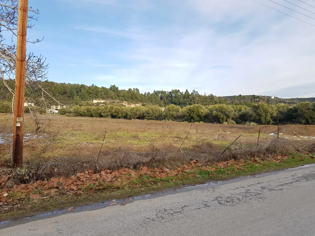 οικόπεδο προς πώληση 4500 τ.μ Κασσάνδρα Χαλκιδική