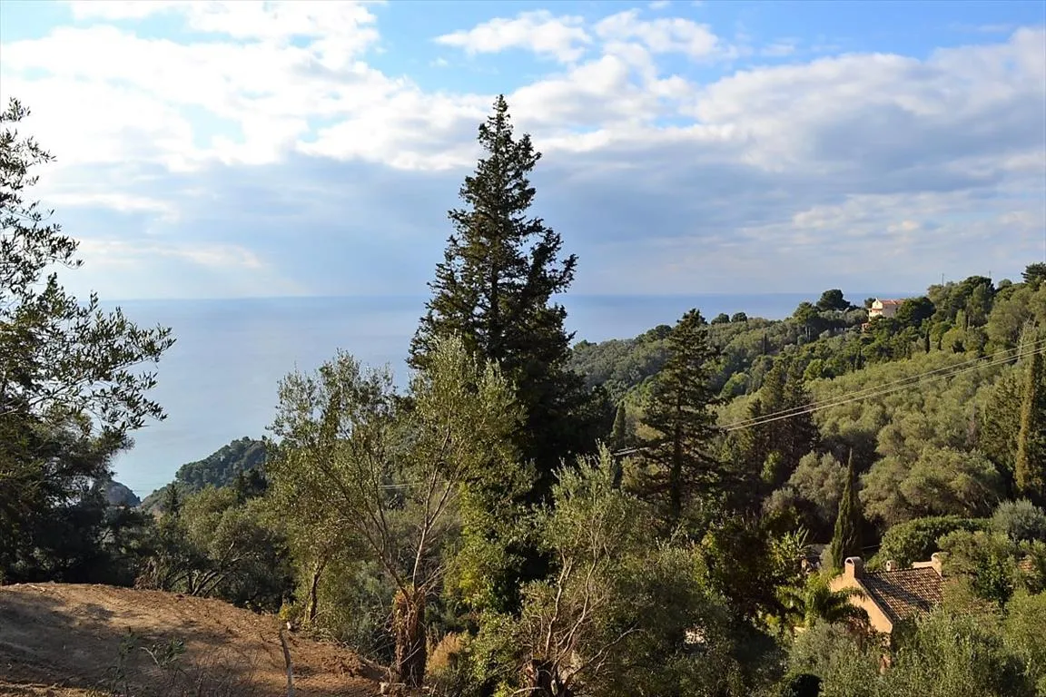 οικόπεδο προς πώληση 5200 τ.μ Κέρκυρα Νομός Κέρκυρας