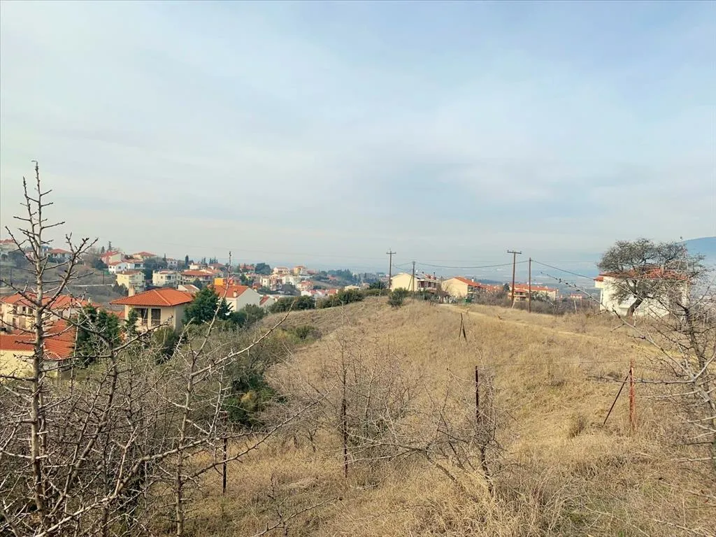 οικόπεδο προς πώληση 1100 τ.μ Βασιλικά Προάστια Θεσσαλονίκης