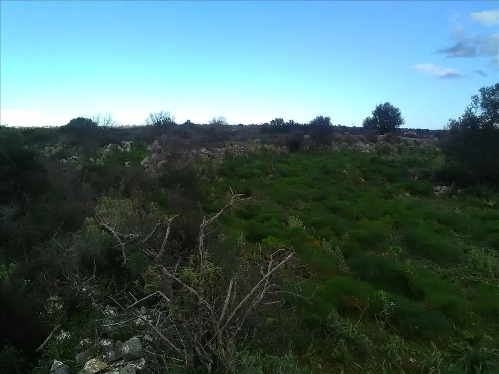 οικόπεδο προς πώληση 9800 τ.μ Βάμος Νομός Χανίων
