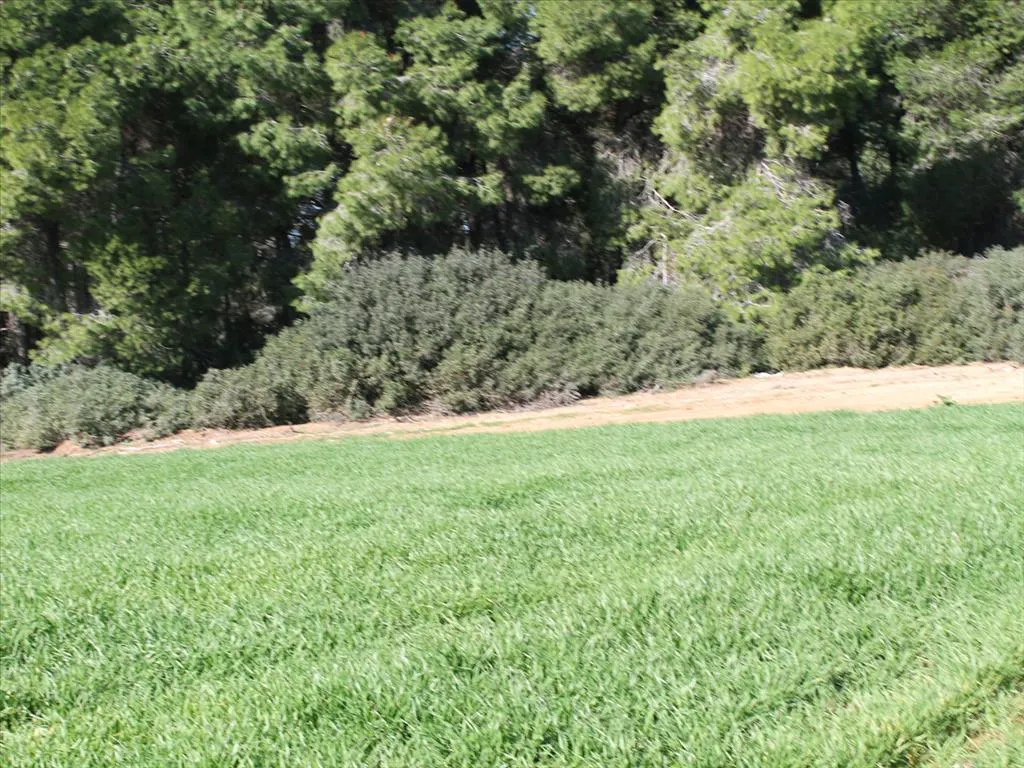 1024