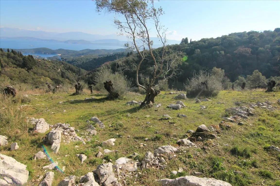 οικόπεδο προς πώληση 6000 τ.μ Κέρκυρα Νομός Κέρκυρας