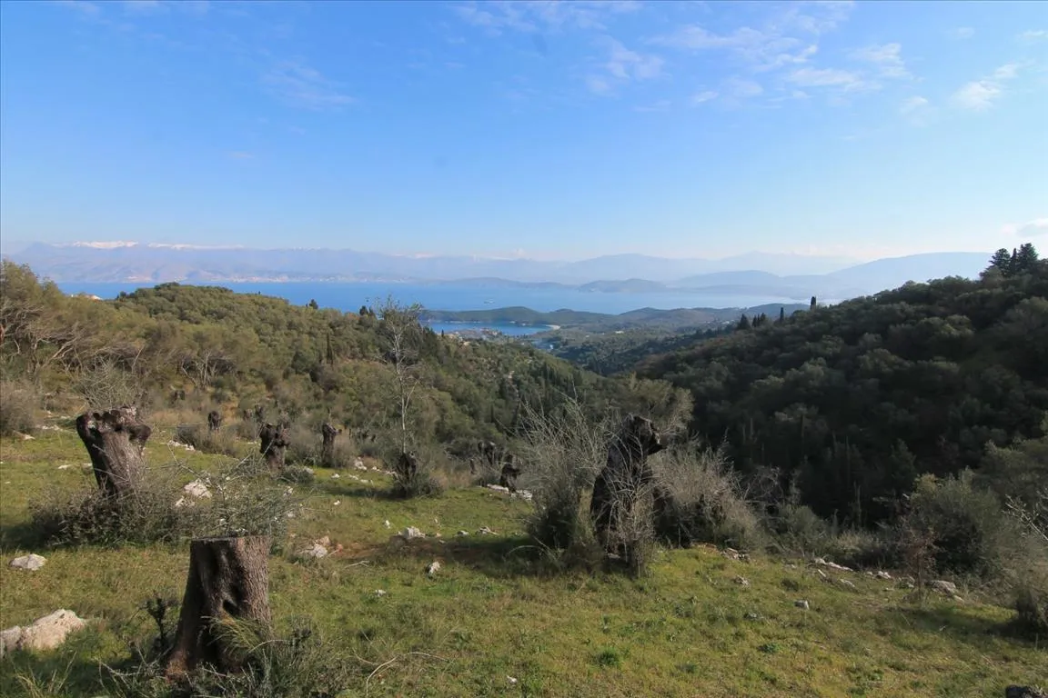 οικόπεδο προς πώληση 6000 τ.μ Κέρκυρα Νομός Κέρκυρας