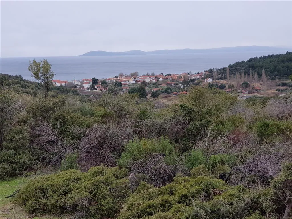 οικόπεδο προς πώληση 12500 τ.μ Σιθωνία Χαλκιδική