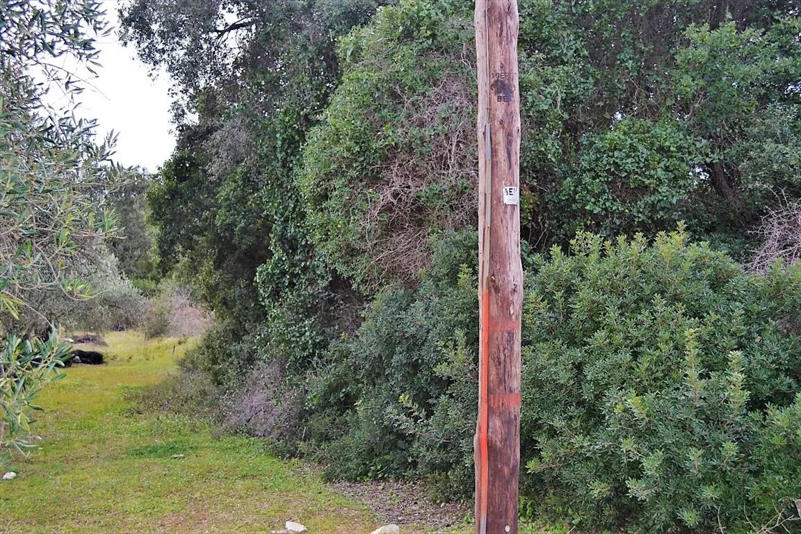 1152