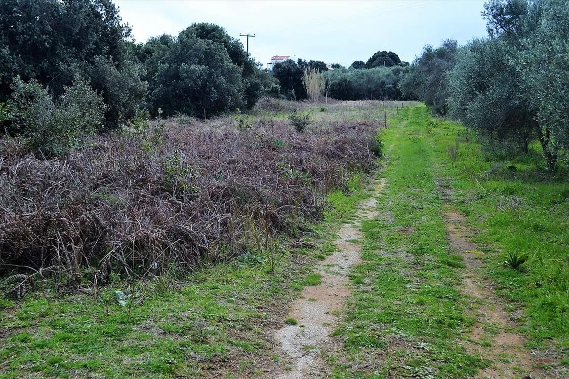 οικόπεδο προς πώληση 5500 τ.μ Κέρκυρα Νομός Κέρκυρας