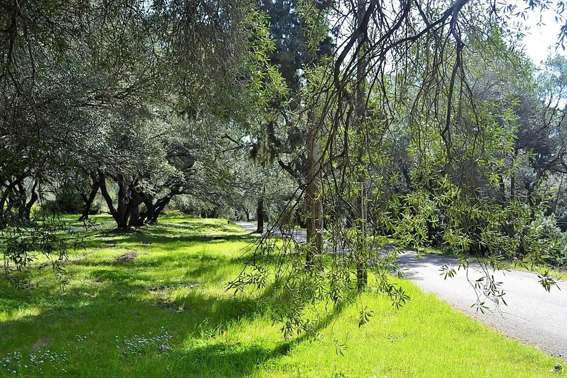 οικόπεδο προς πώληση 4000 τ.μ Κέρκυρα Νομός Κέρκυρας