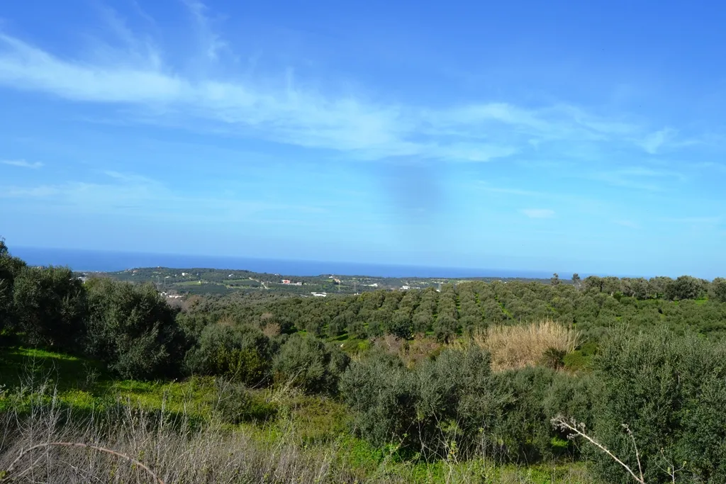 οικόπεδο προς πώληση 5500 τ.μ Αρκάδι Νομός Ρεθύμνου