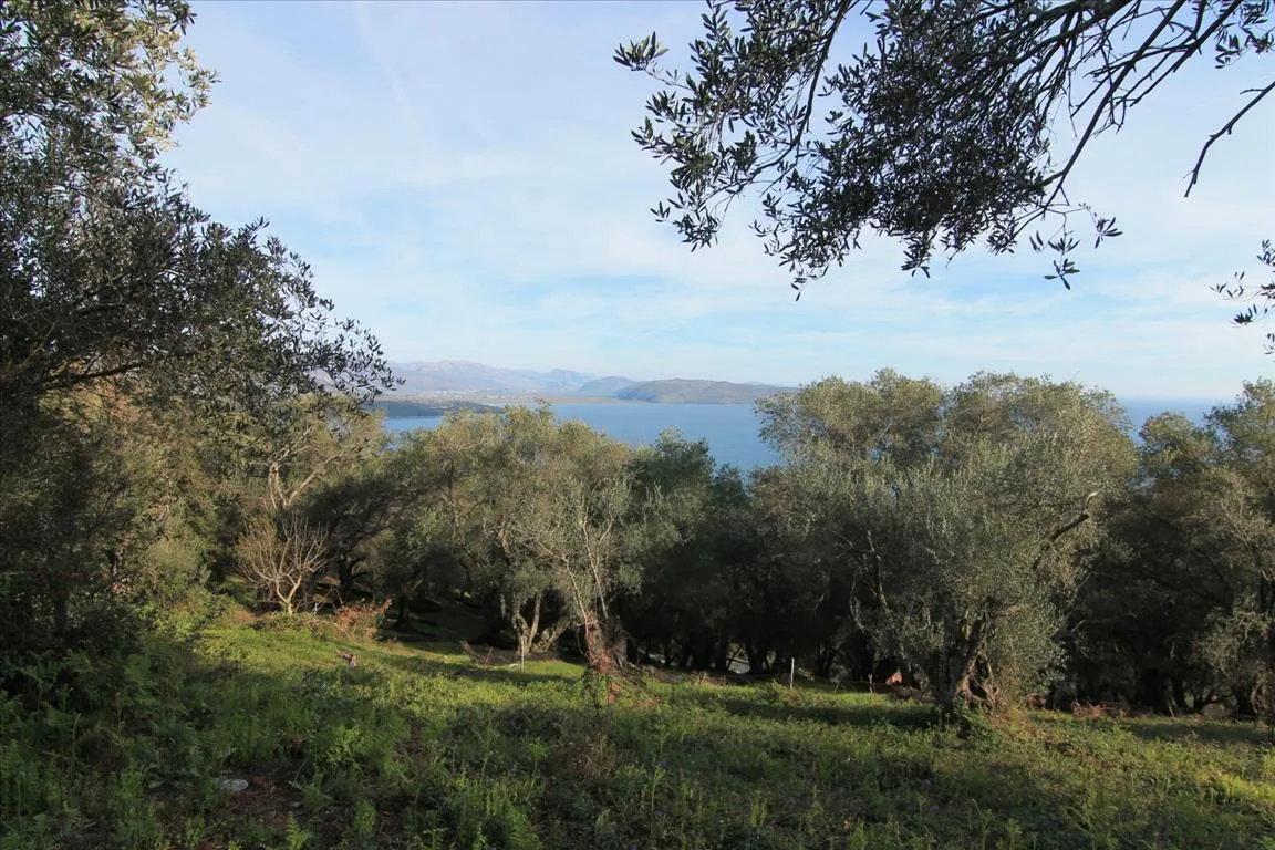 οικόπεδο προς πώληση 2400 τ.μ Κέρκυρα Νομός Κέρκυρας