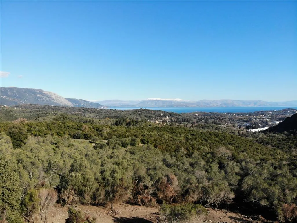 οικόπεδο προς πώληση 5000 τ.μ Κέρκυρα Νομός Κέρκυρας