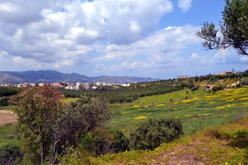 οικόπεδο προς πώληση 7000 τ.μ Γάζι Νομός Ηρακλείου