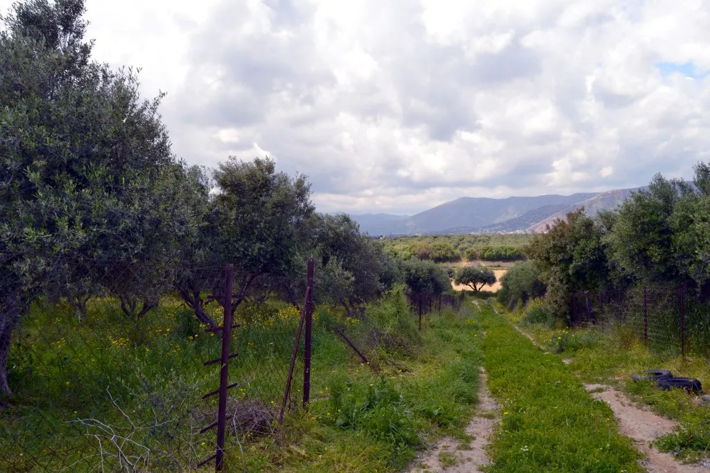 οικόπεδο προς πώληση 4500 τ.μ Γάζι Νομός Ηρακλείου