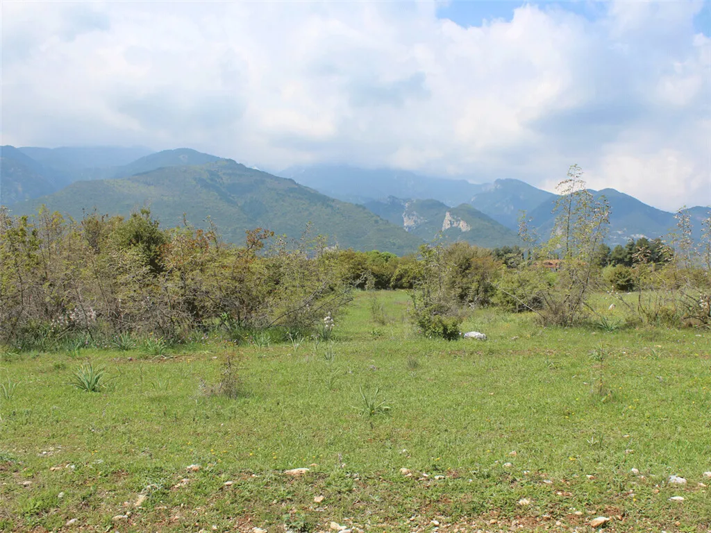 οικόπεδο προς πώληση 6740 τ.μ Ανατολικός Όλυμπος Νομός Πιερίας