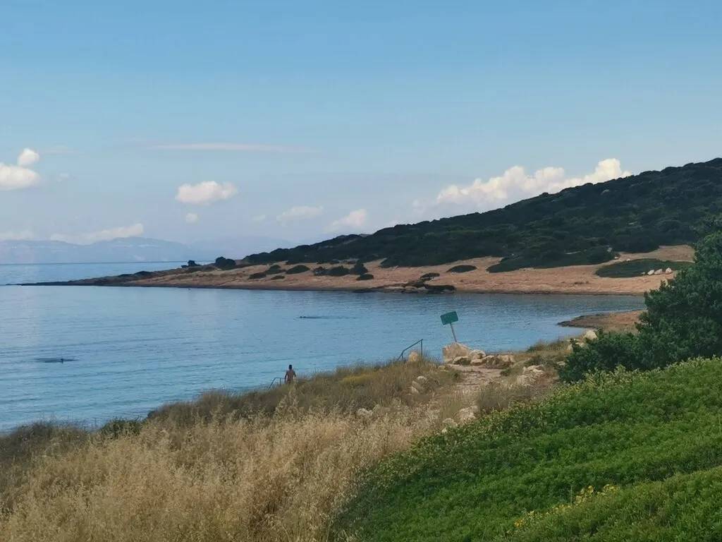 οικόπεδο προς πώληση 900 τ.μ Μαρκόπουλο Υπόλοιπη Αττικής
