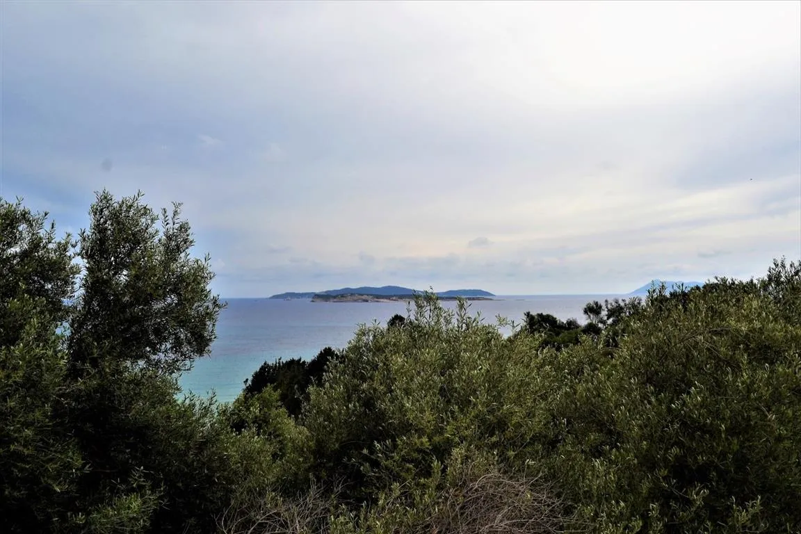 οικόπεδο προς πώληση 5000 τ.μ Κέρκυρα Νομός Κέρκυρας