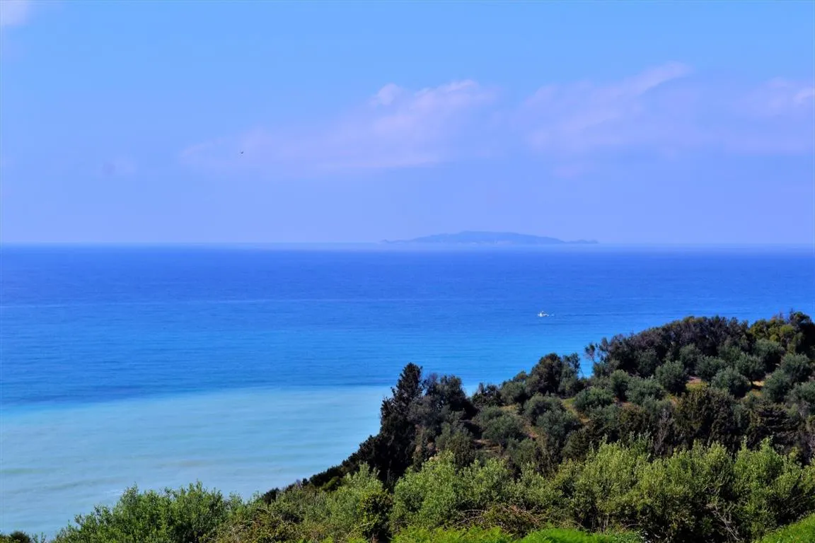 οικόπεδο προς πώληση 6200 τ.μ Κέρκυρα Νομός Κέρκυρας