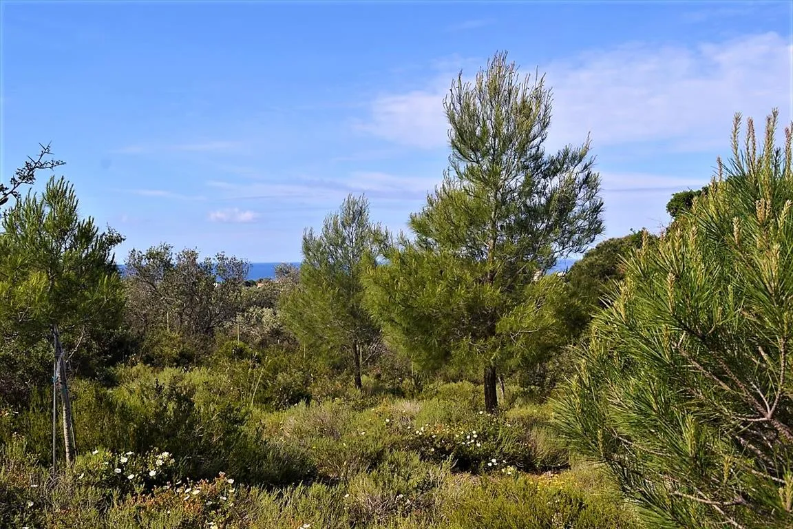 οικόπεδο προς πώληση 12000 τ.μ Κέρκυρα Νομός Κέρκυρας