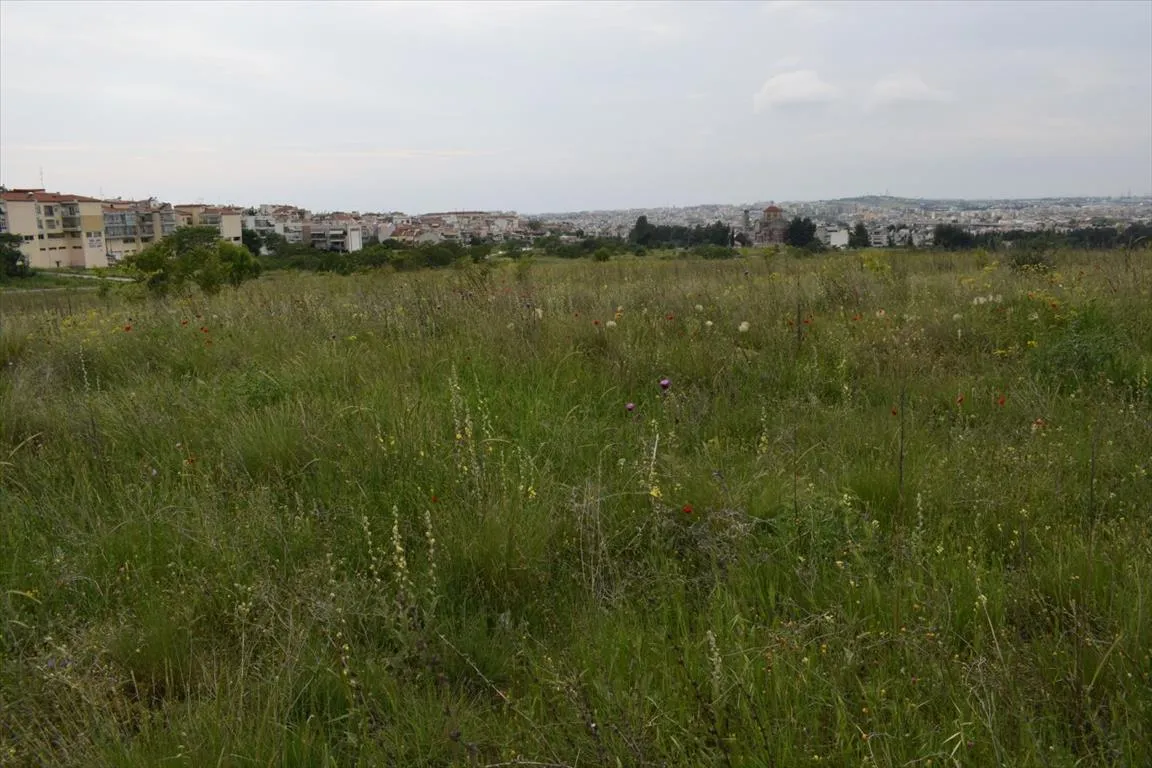 οικόπεδο προς πώληση 4960 τ.μ Πολίχνη Προάστια Θεσσαλονίκης