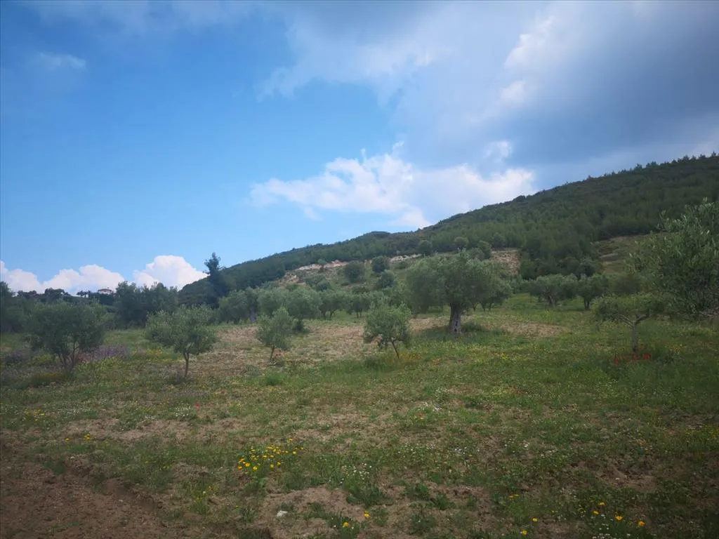 οικόπεδο προς πώληση 18500 τ.μ Κασσάνδρα Χαλκιδική