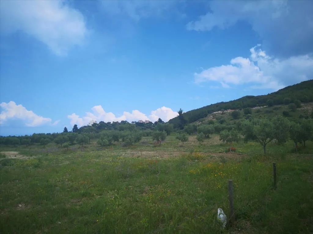 οικόπεδο προς πώληση 18500 τ.μ Κασσάνδρα Χαλκιδική