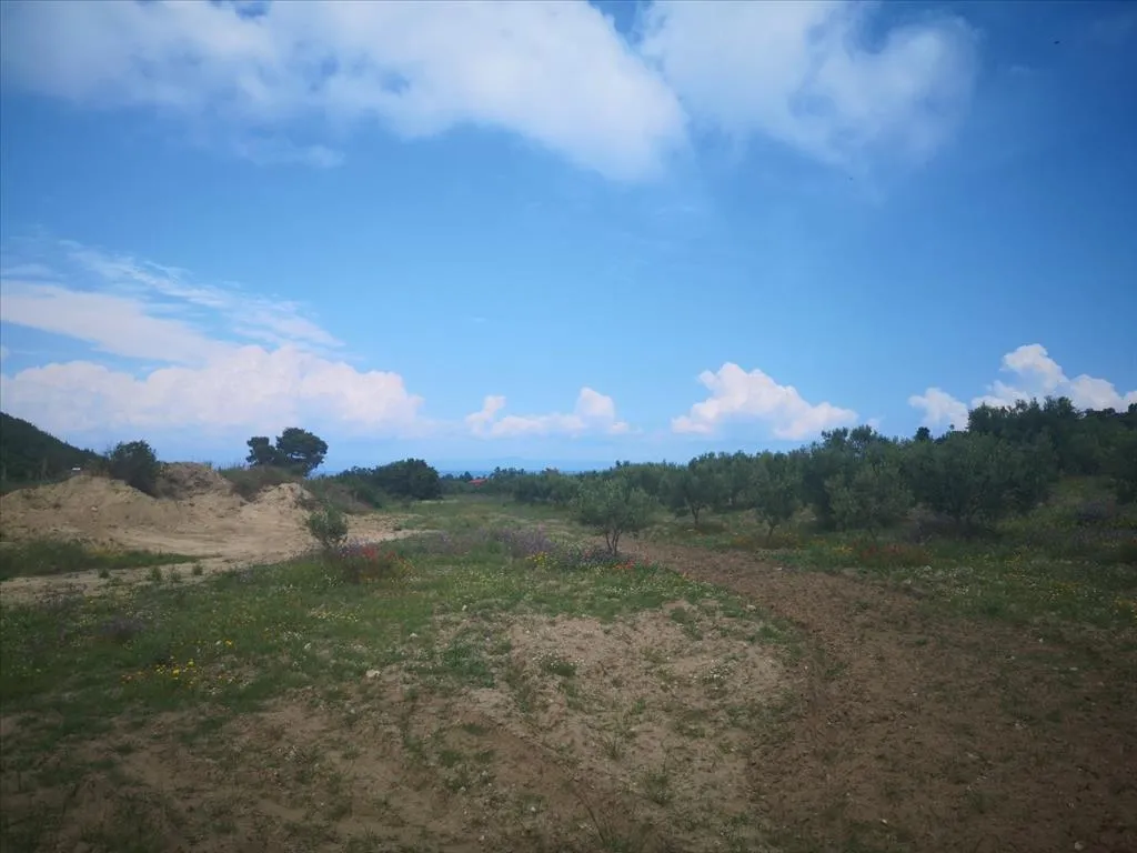 οικόπεδο προς πώληση 18500 τ.μ Κασσάνδρα Χαλκιδική