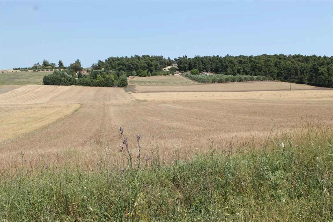 οικόπεδο προς πώληση 4050 τ.μ Κασσάνδρα Χαλκιδική