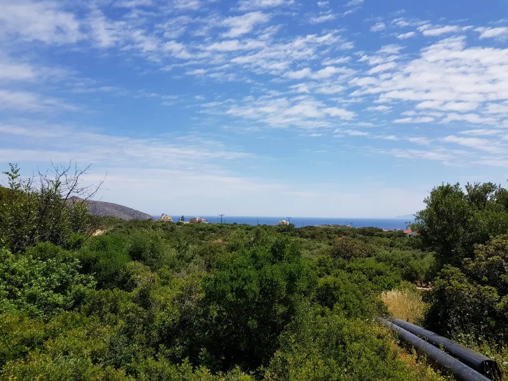 οικόπεδο προς πώληση 4520 τ.μ Άγιος Νικόλαος Νομός Λασιθίου