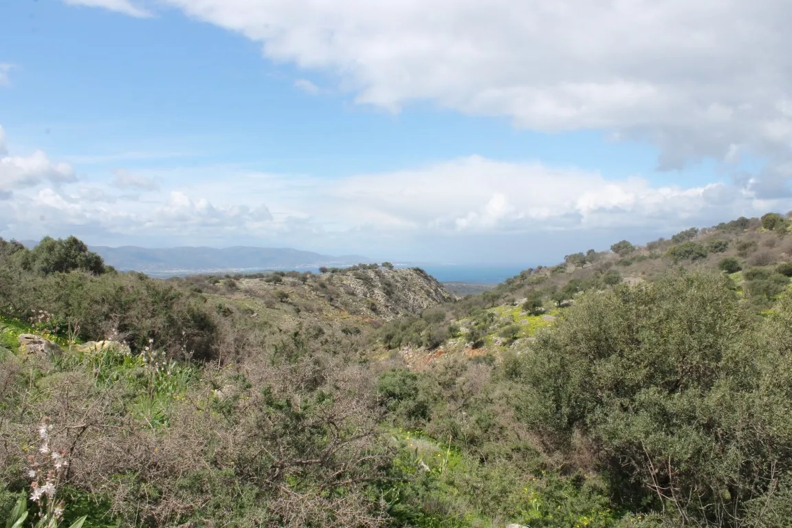 οικόπεδο προς πώληση 10800 τ.μ Νεάπολη Νομός Λασιθίου