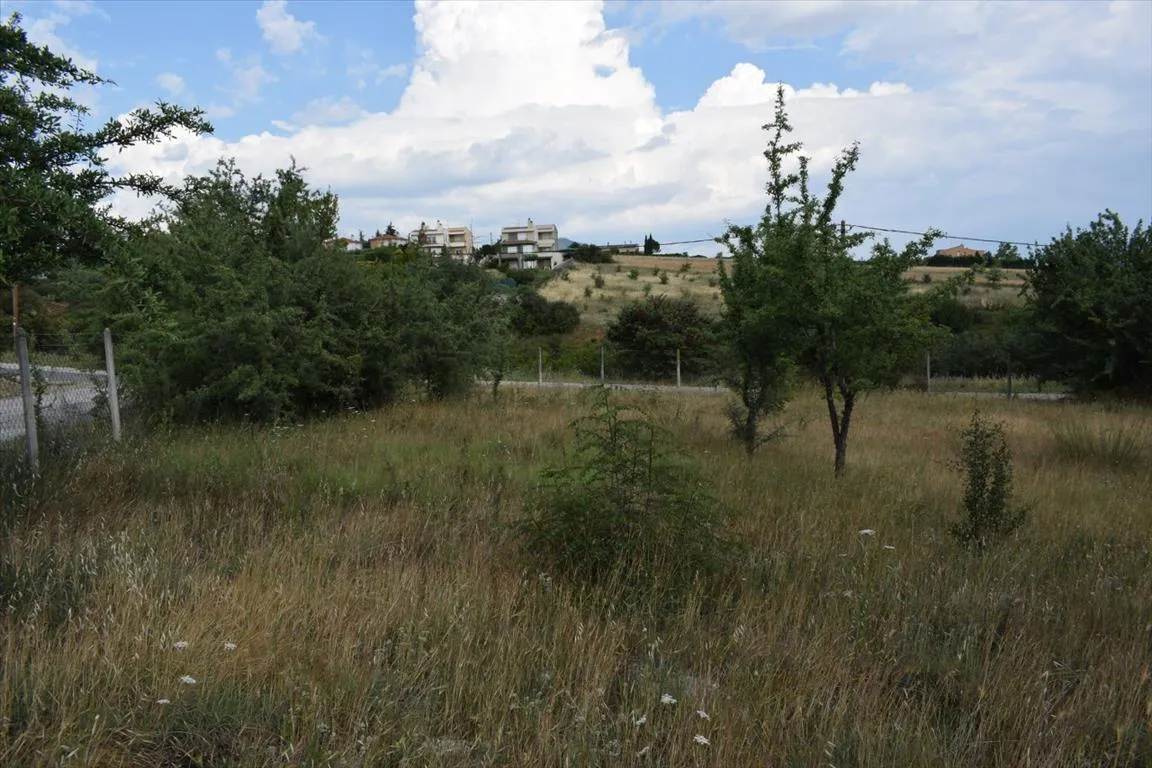 οικόπεδο προς πώληση 840 τ.μ Πανόραμα Προάστια Θεσσαλονίκης